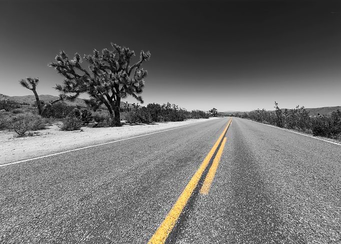 Park Blvd Joshua Tree