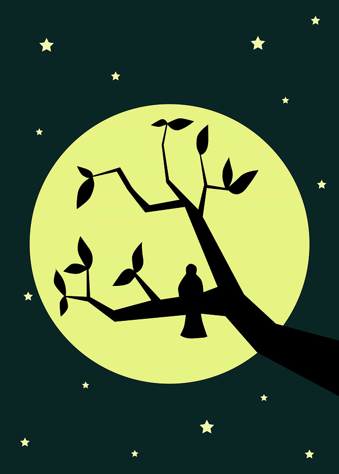 Bird Underneath the Moon