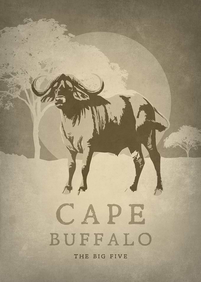 Cape Buffalo