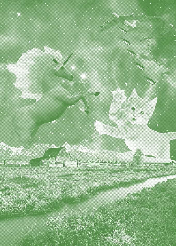 Unicorn vs Kitten