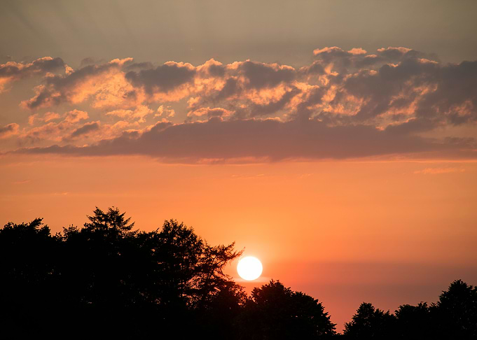 Beutiful sun gazing prints