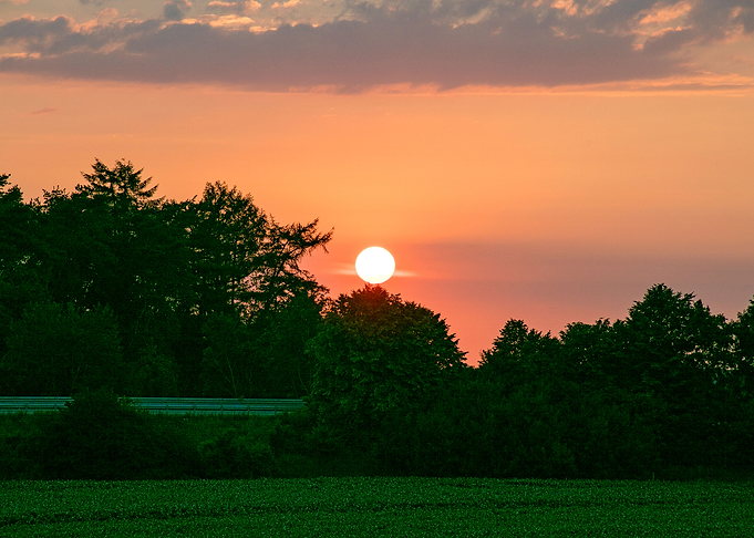 Beutiful sun gazing prints