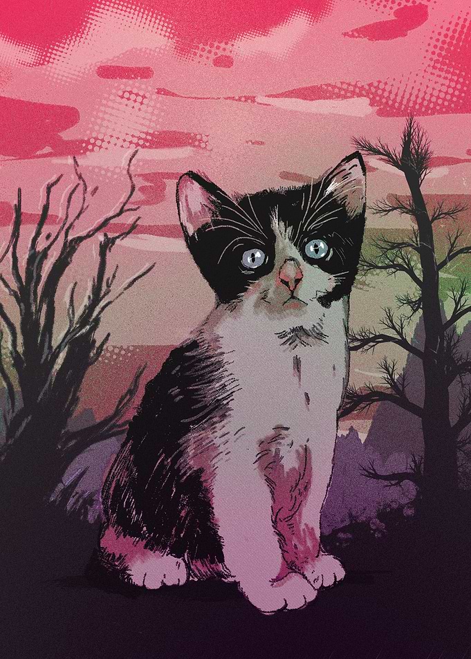 KITTY