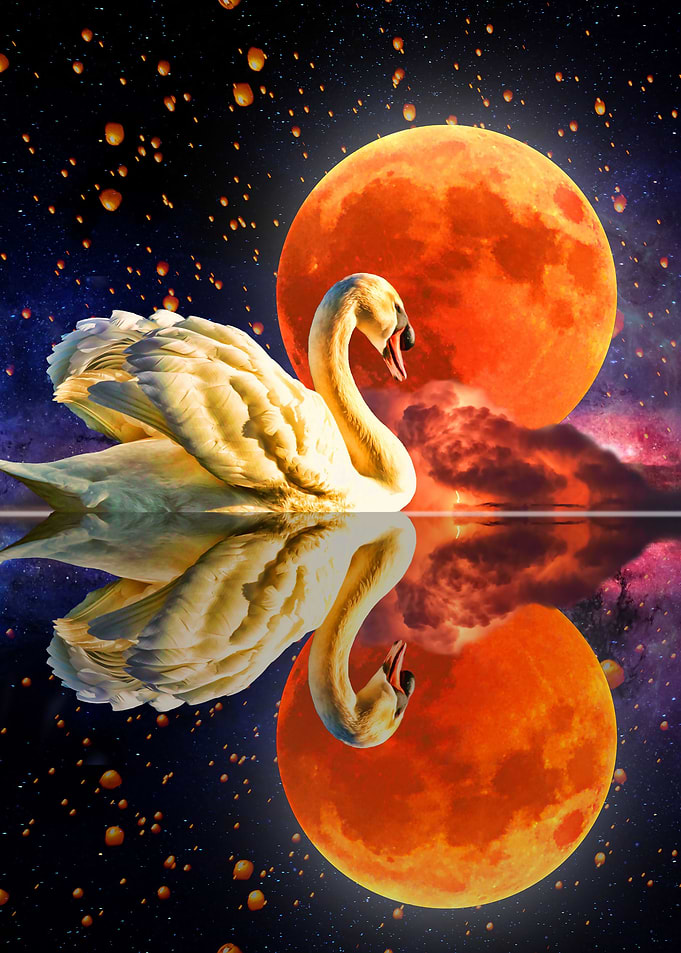 Swan Lake Vert