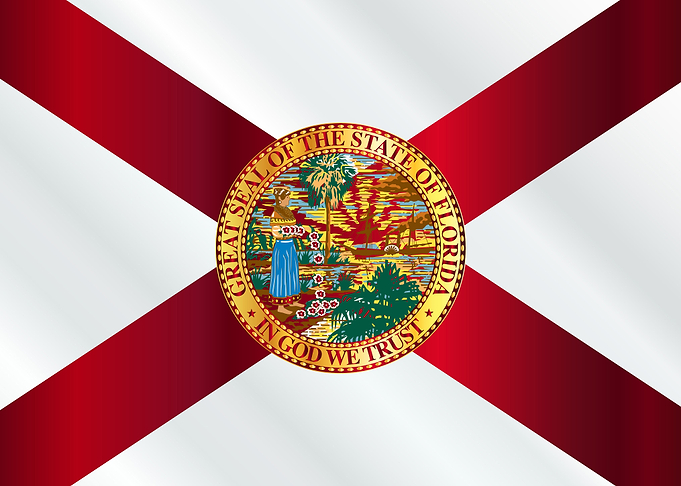 Florida State Flag Gloss
