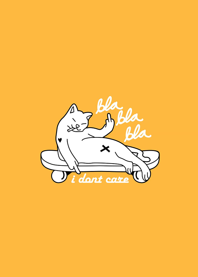 Skatecat I Dont Care