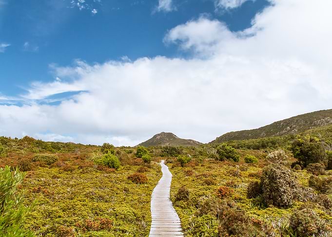 Hartz National Park TAS