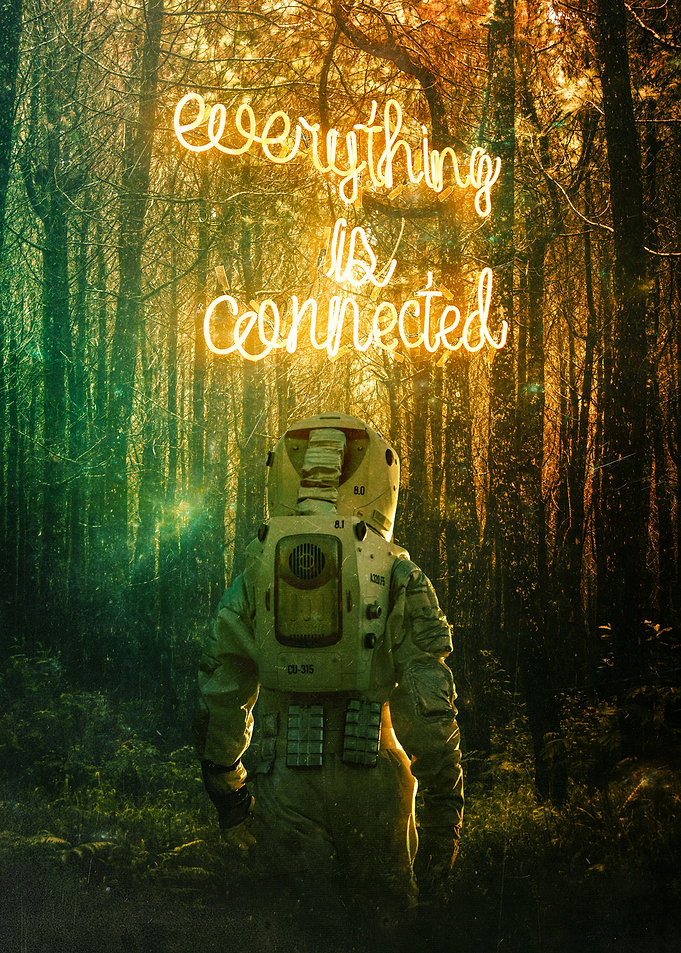 The Conection