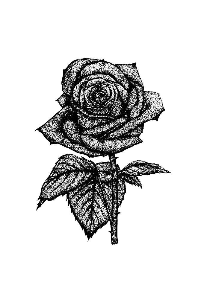 Rose Art