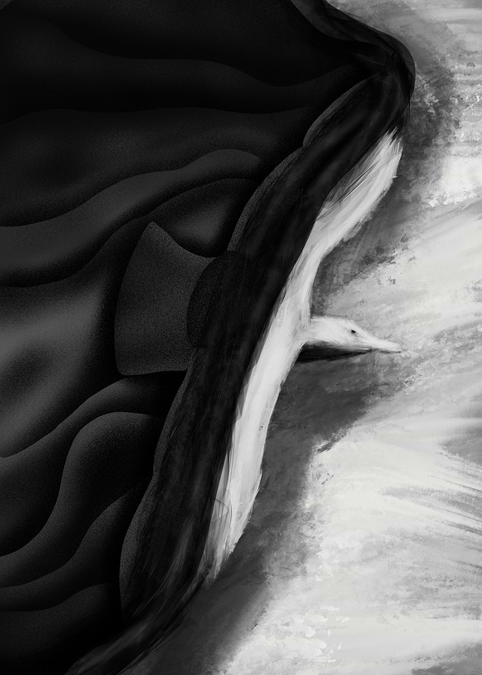 Seagull of courage