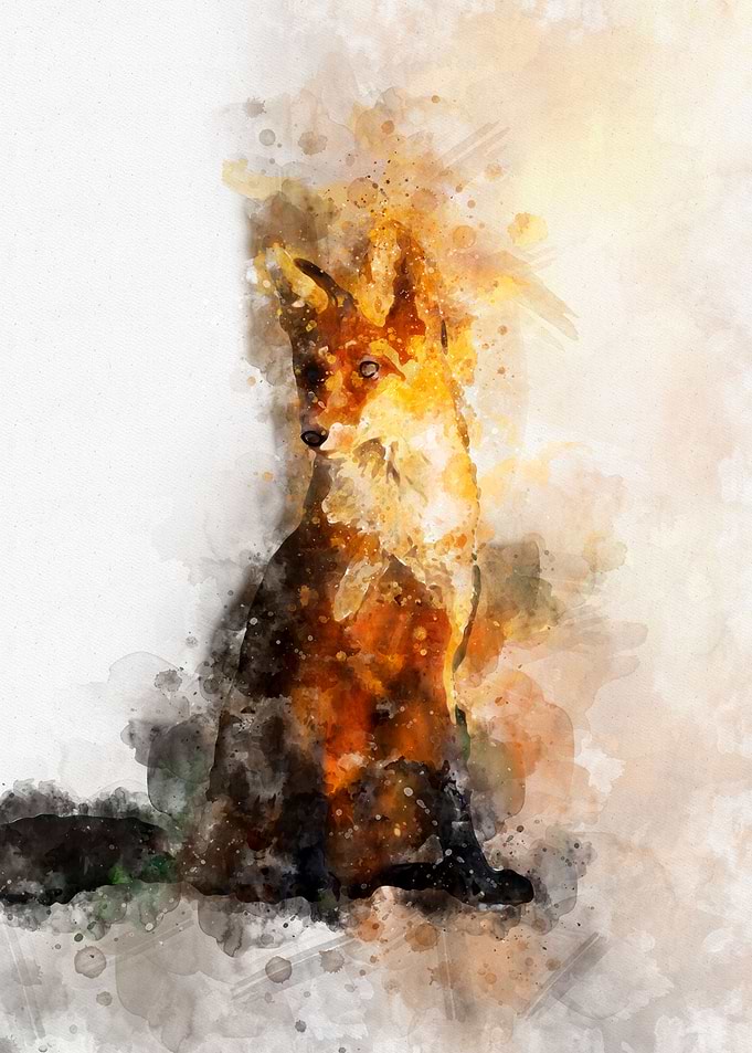 Fox