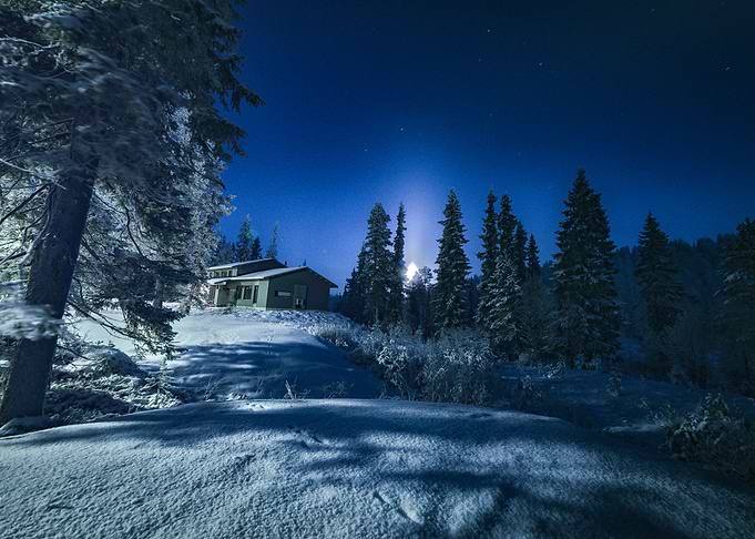 Cabin in the Woods