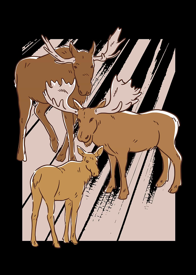 Wildlife