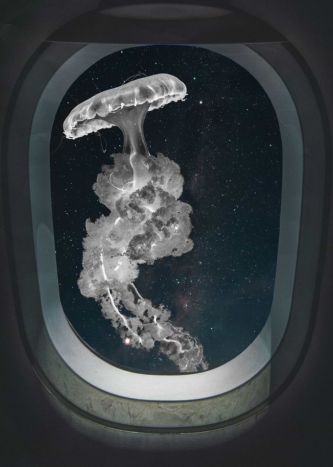 Space Jellyfish