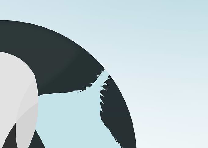 Abstract Swan top right