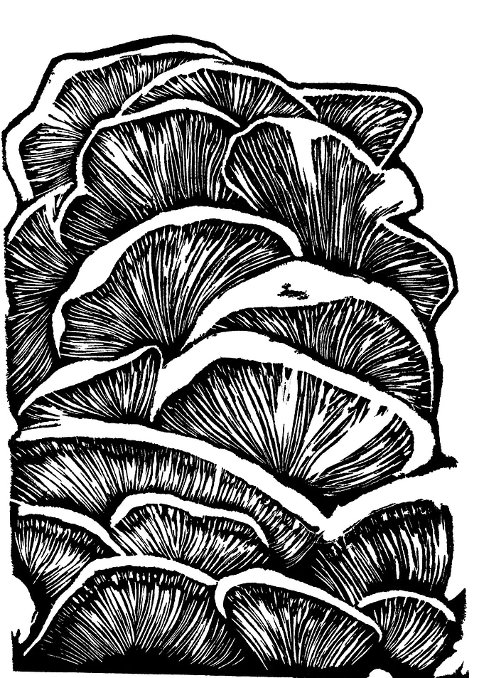 Mushrooms