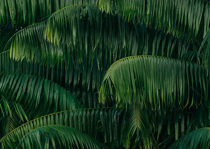 Green Leaves painting