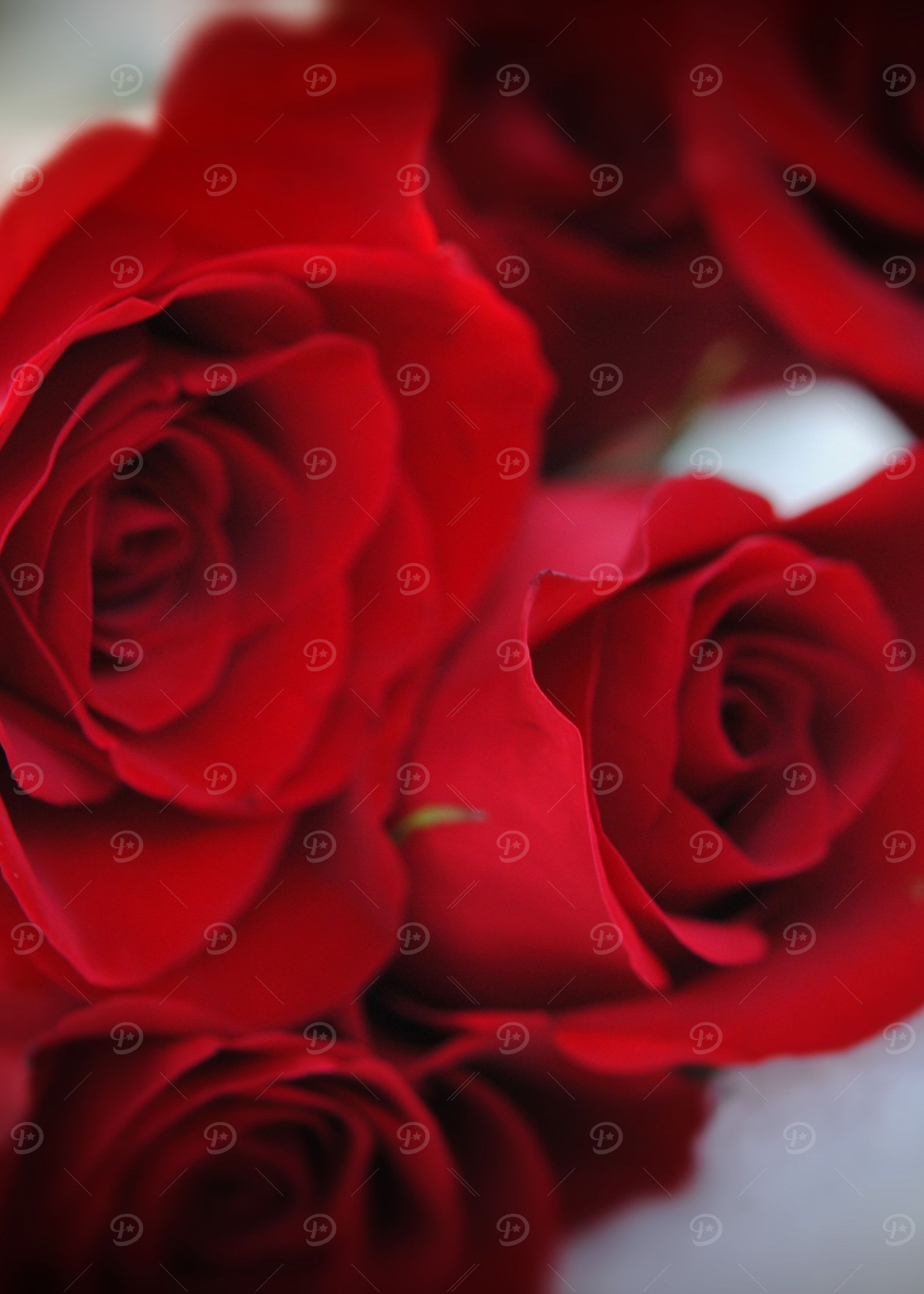 Red Rose Bouquet