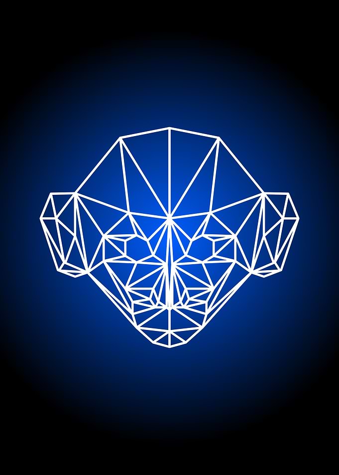 polygonal monkey head