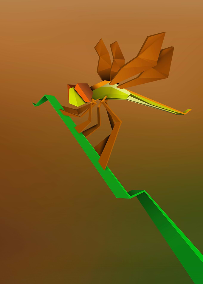 light dragonfly