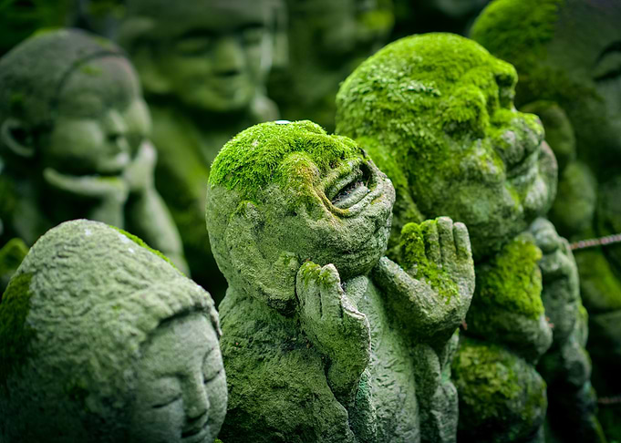Buddha statues