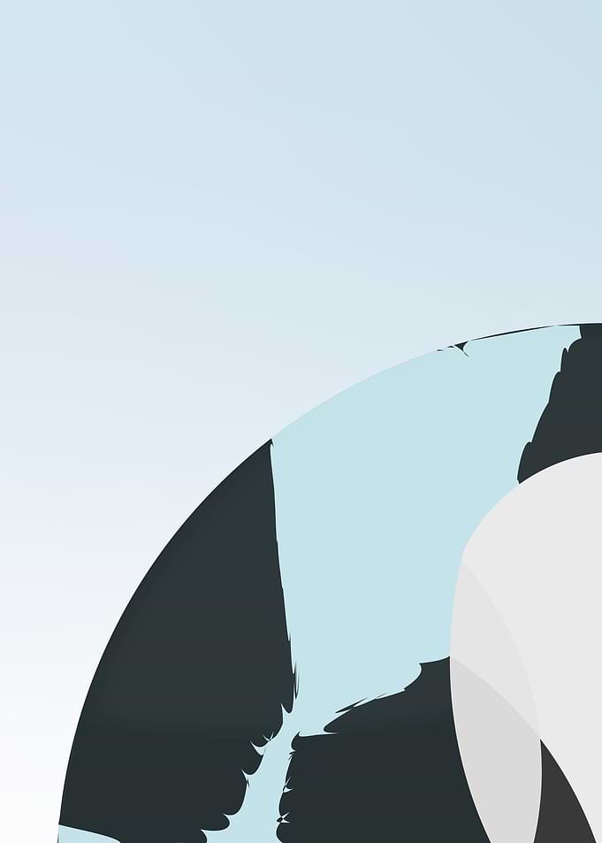 Abstract Swan top left
