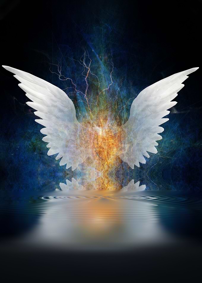 Angel wings