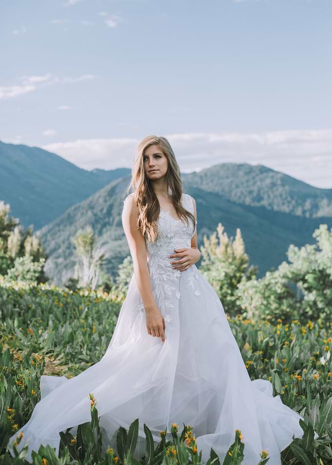 Mountain dream