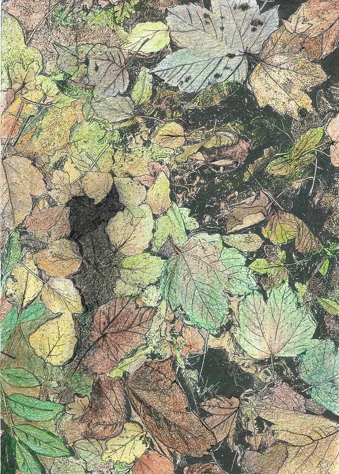 LEAVES