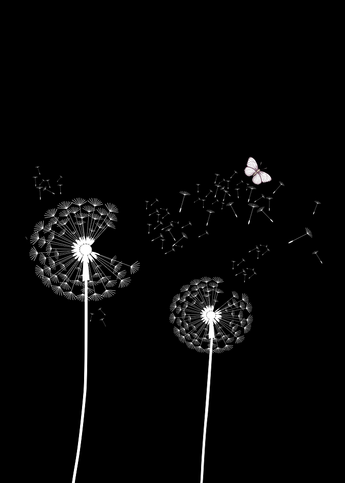 Dandelions Butterfly BW