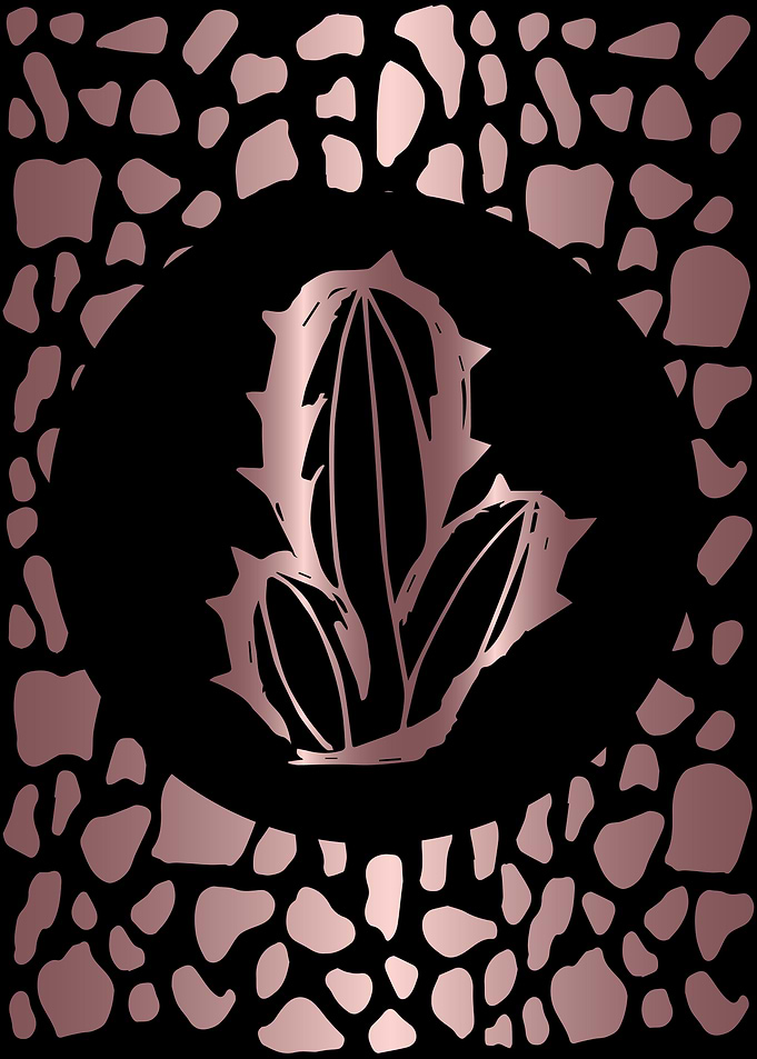Rose Gold Cactus 4