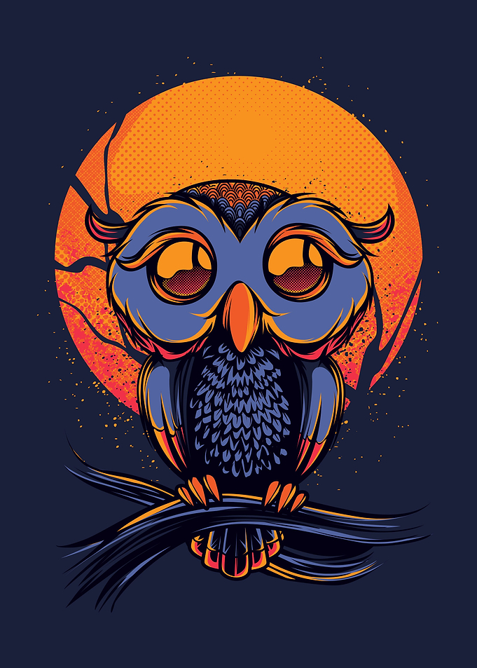 Cute Owl
