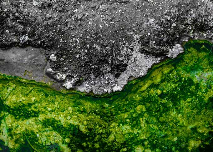 Green Water