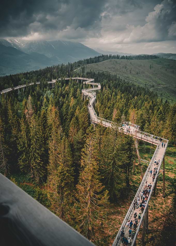 Path