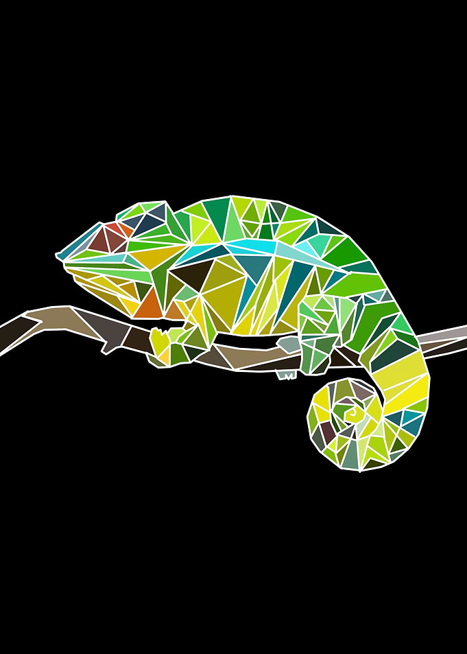 Camaleon