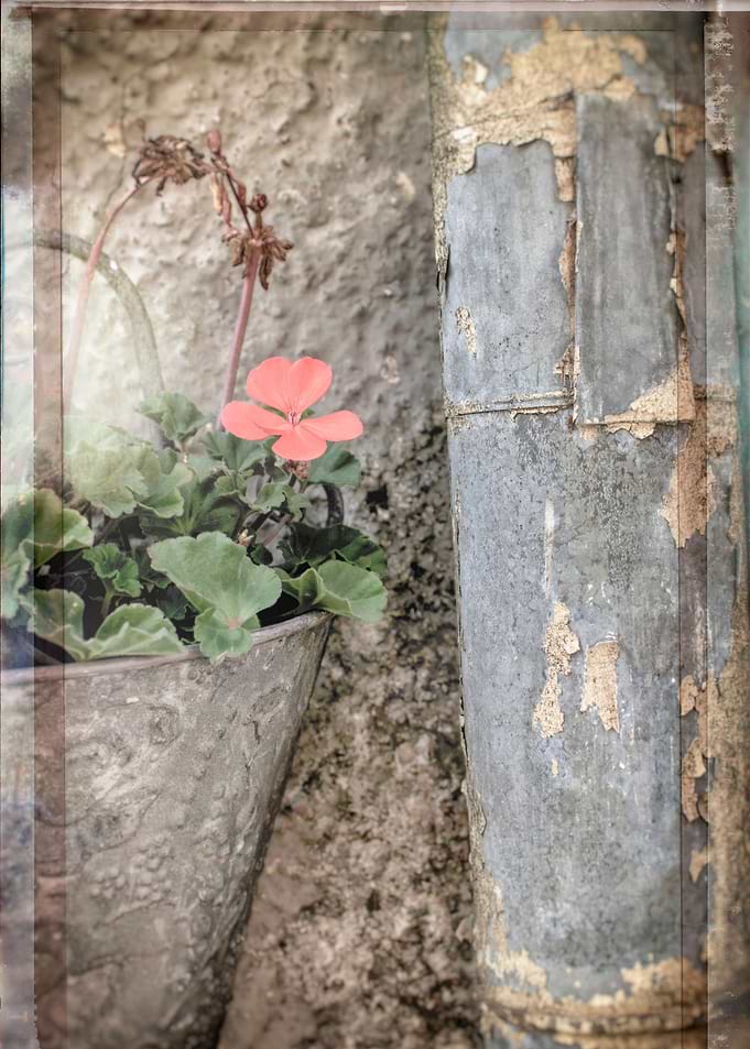 Vintage floral
