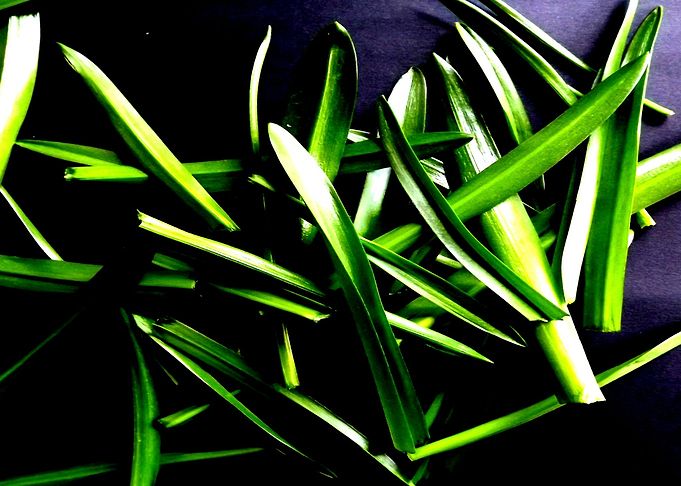 GREENS