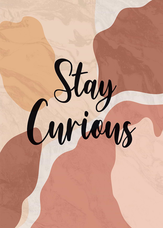 Stay Curious