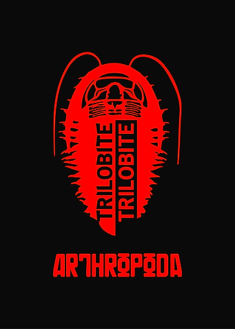 Latest drop