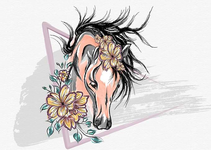 horse illustration