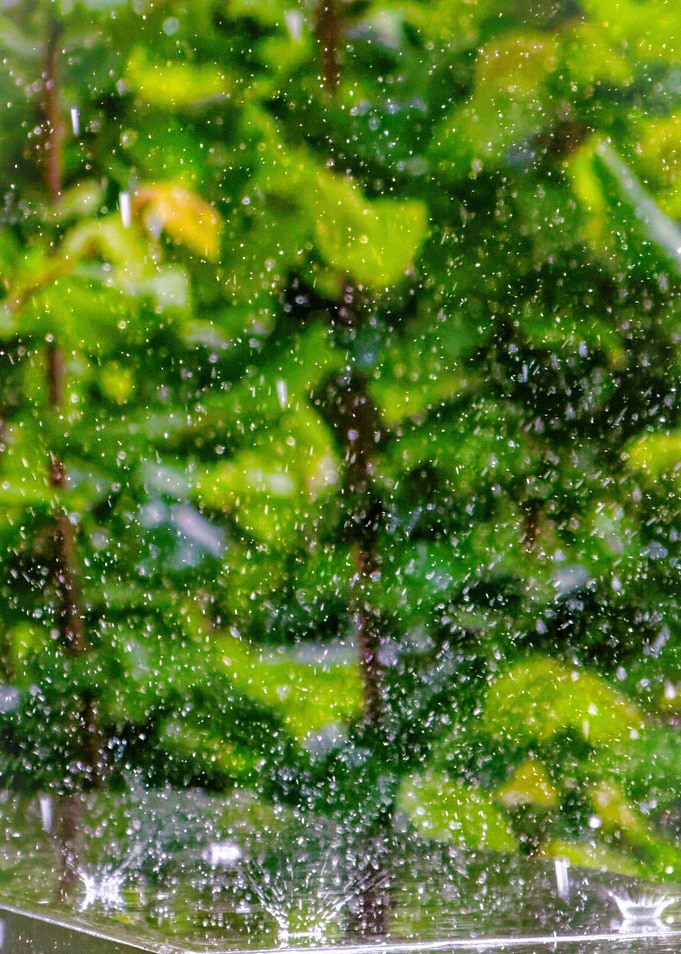 Splashing