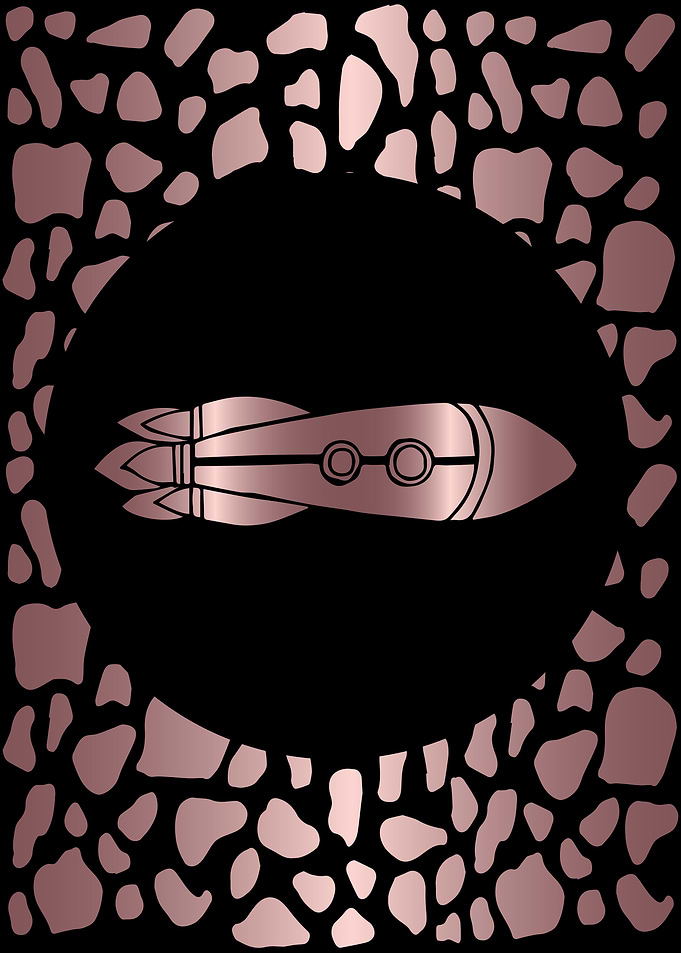 Rose Gold Rocket Ship 5
