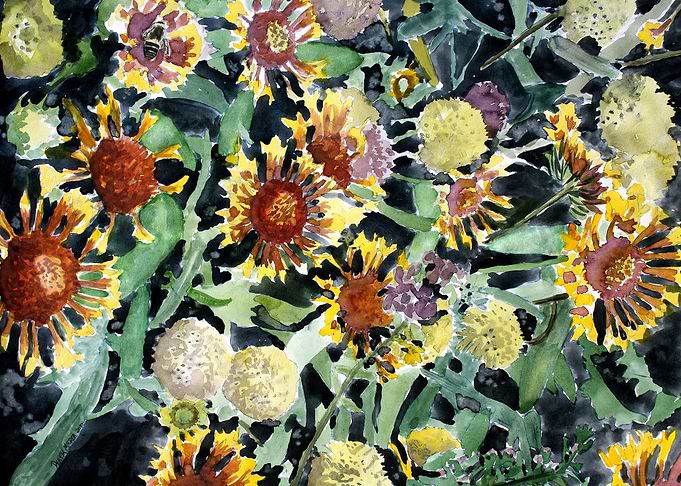 Indian Blanket Flowers