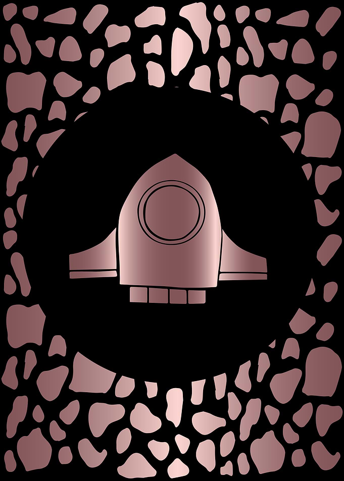 Rose Gold Rocket Ship 1