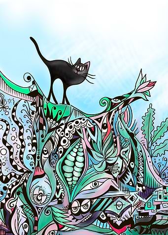 Black Cat on Hot tin roof