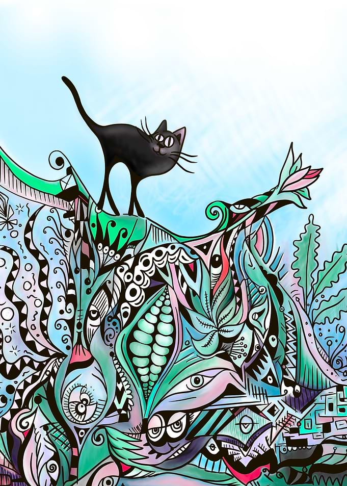 Black Cat on Hot tin roof