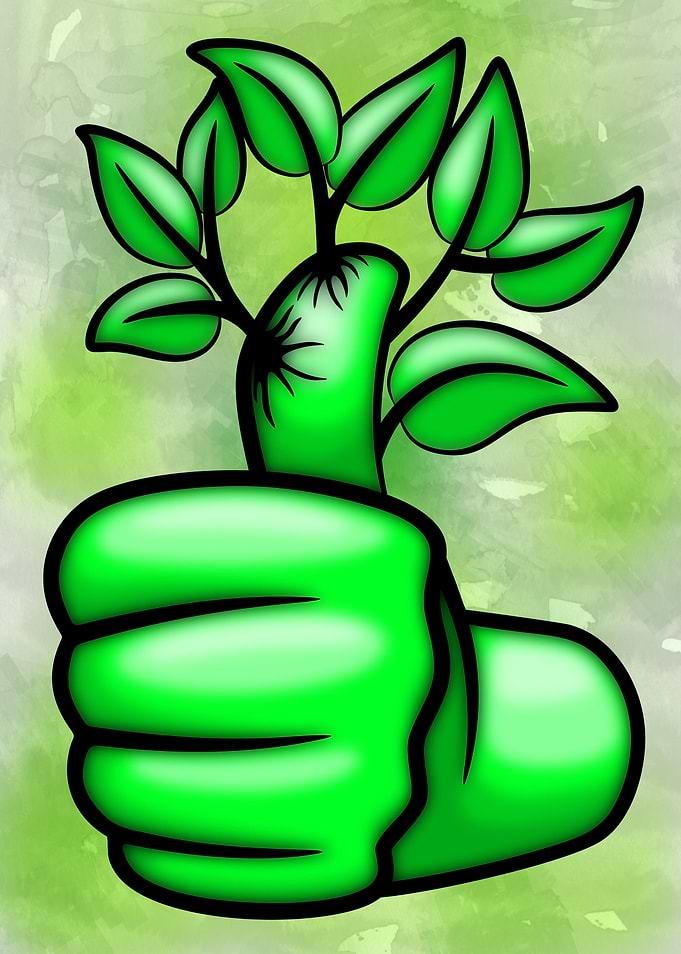 Green Hand Thumb Up