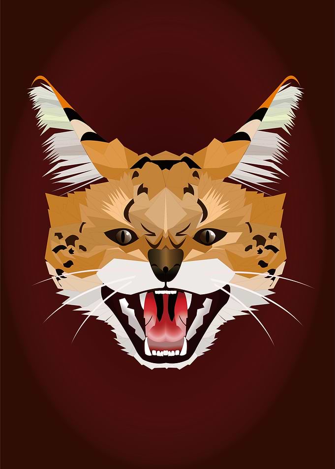 Serval cat illustration