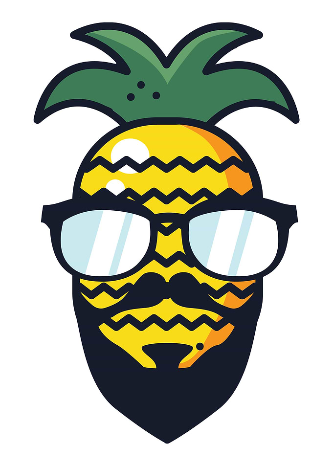 Hipster Pineapple