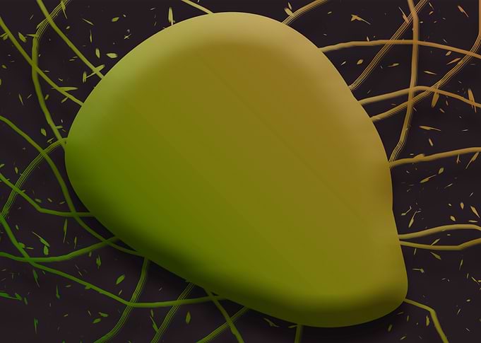 Abstract shapes